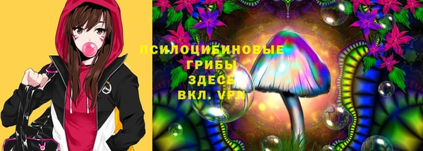 наркотики Белокуриха